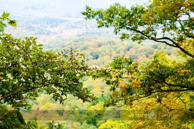 atlanta georgia photographer