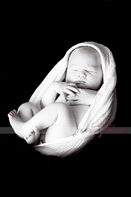 newborn portraits atlanta