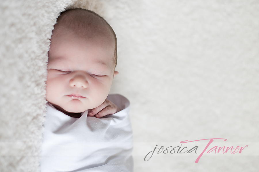 newborn portraits atlanta