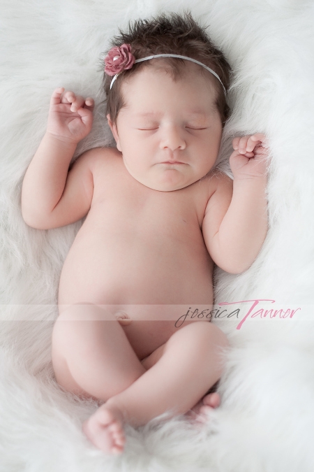 newborn portraits