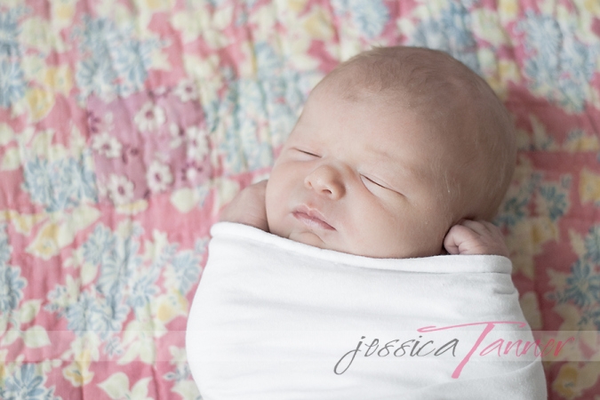 newborn portrait studio