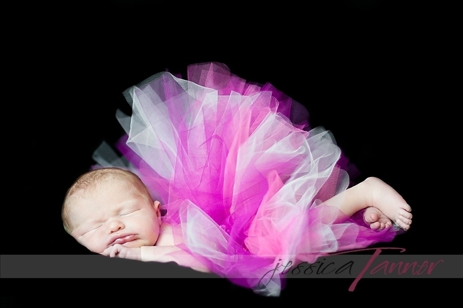 newborn portrait studio