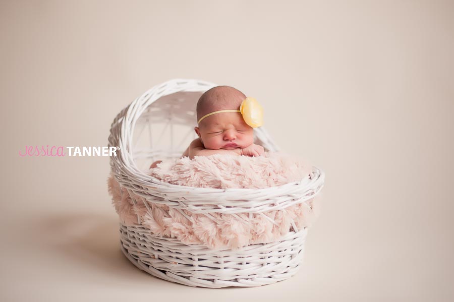 Jessica Tanner Photography Newborn