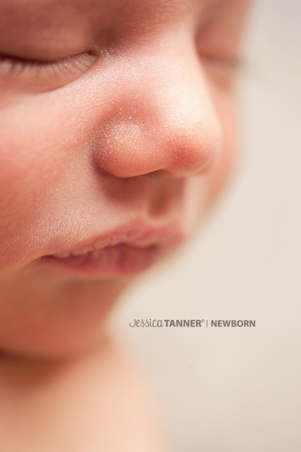 newborn photographer