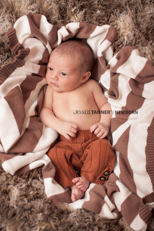 newborn photography