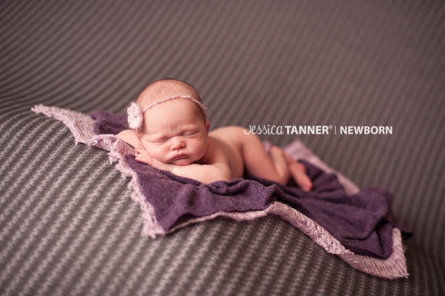 newborn photographer in gainesville ga