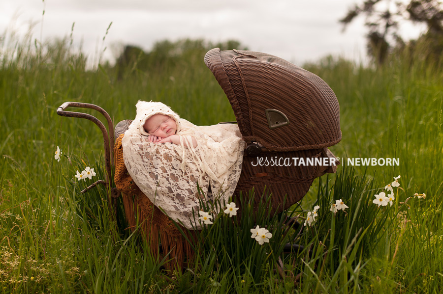 outdoor newborn photography