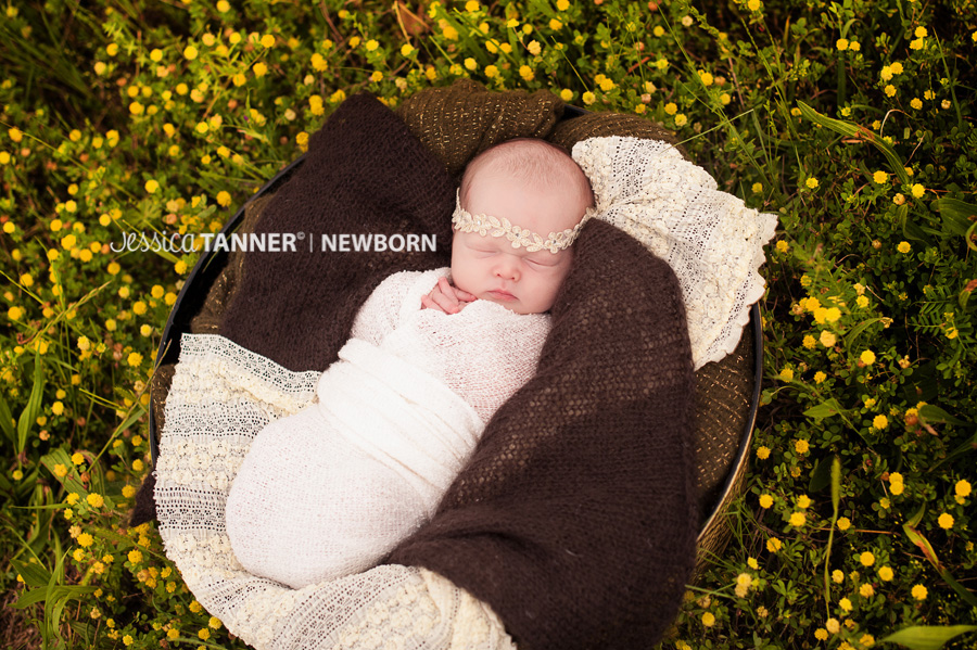 newborn photography in gainesville ga