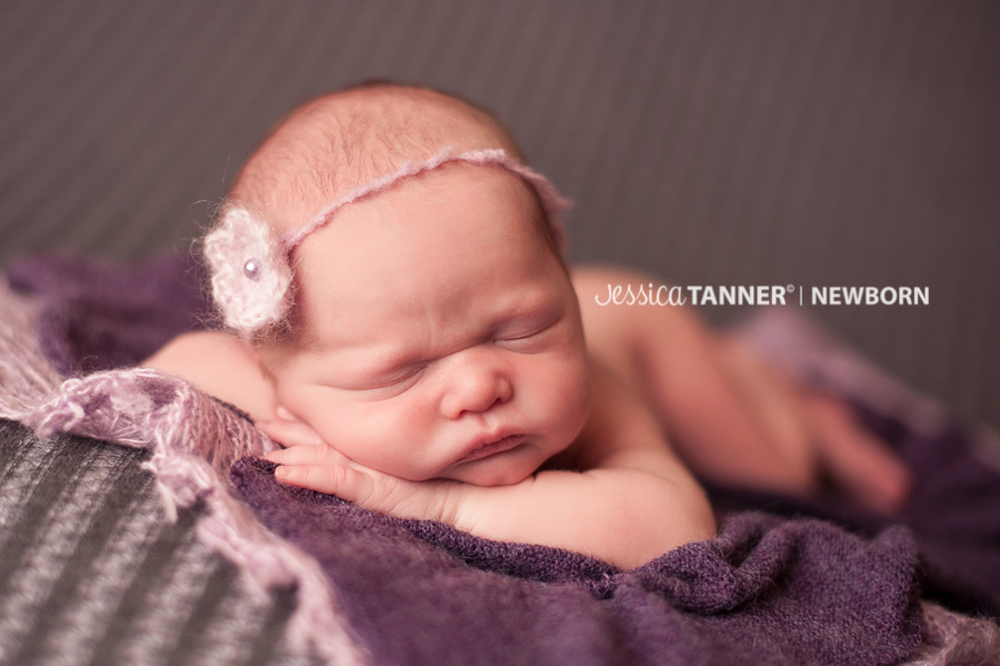 newborn photographer in gainesville ga