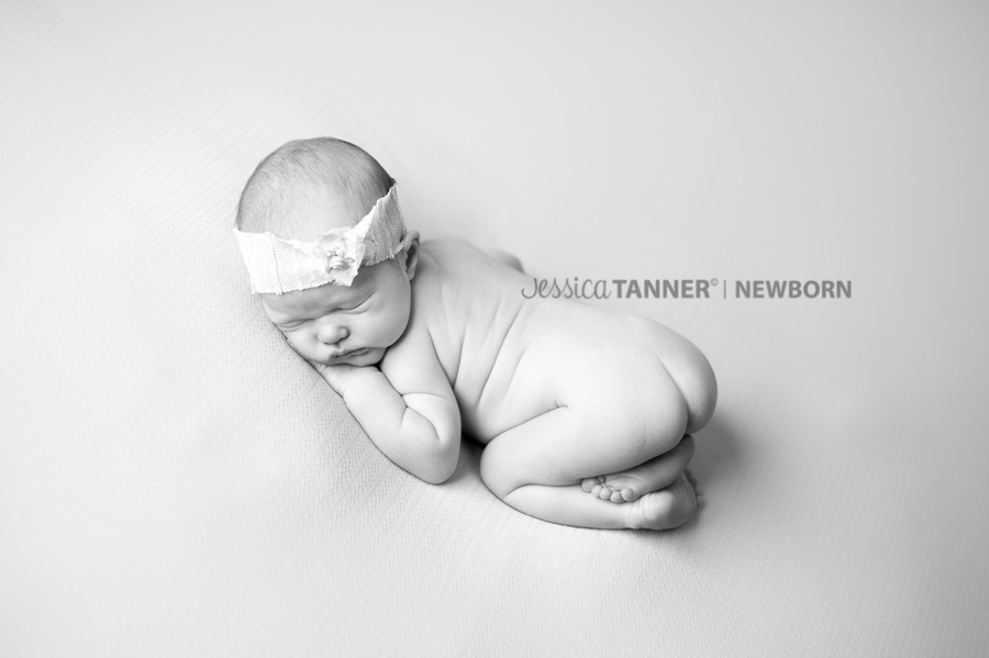 newborn photographer in gainesville ga