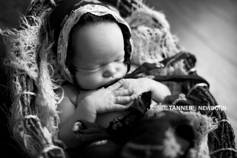 newborn photographer in gainesville ga