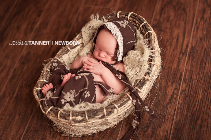 newborn photographer in gainesville ga