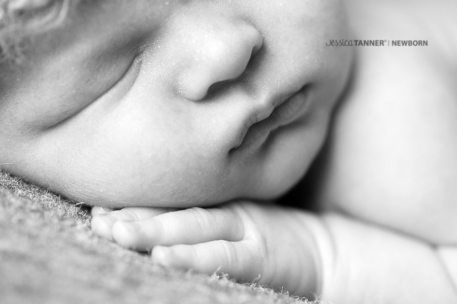 newborn photographer in alpharetta ga