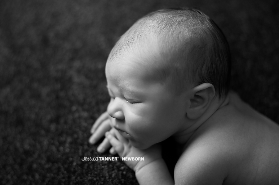 newborn photographer in marietta ga