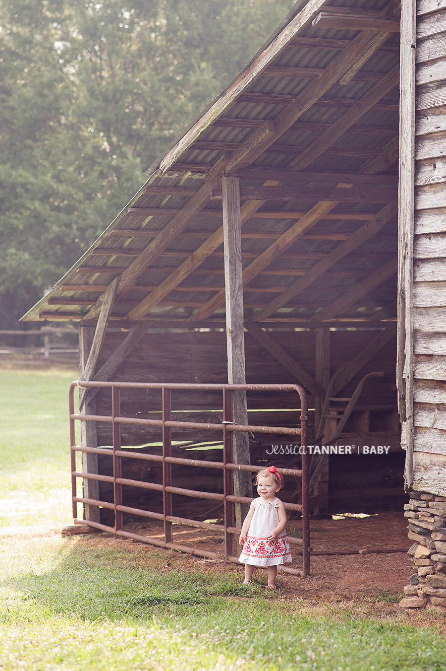 Jefferson Ga Baby Photographer