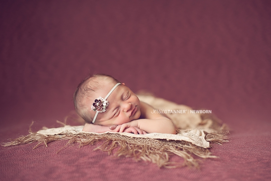 ta Ga Newborn Photographer Jessica Tanner Photography Jefferson Ga 1