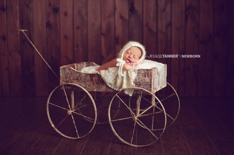 ta Ga Newborn Photographer Jessica Tanner Photography Jefferson Ga 6