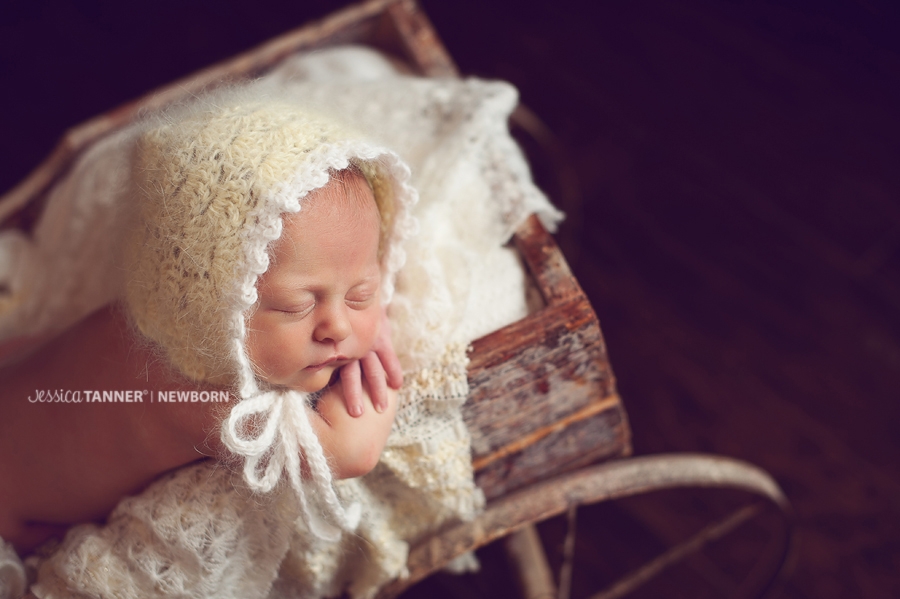 ta Ga Newborn Photographer Jessica Tanner Photography Jefferson Ga 7