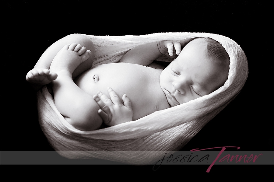 newborn photographer in athens ga