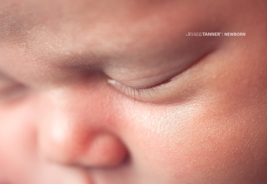 Toccoa, Ga Newborn Photographer Jessica Tanner Photography Atlanta, Ga 1