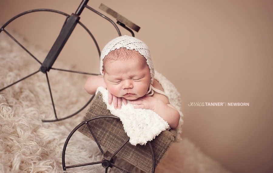 Toccoa, Ga Newborn Photographer Jessica Tanner Photography Atlanta, Ga 10