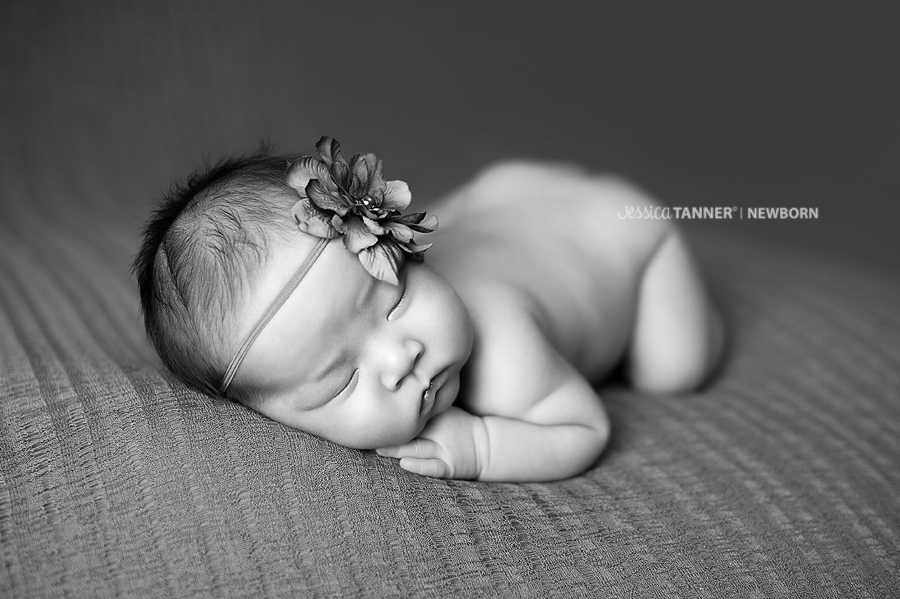 Duluth, Ga Newborn photographer Jessica Tanner Photography Atlanta Ga 5