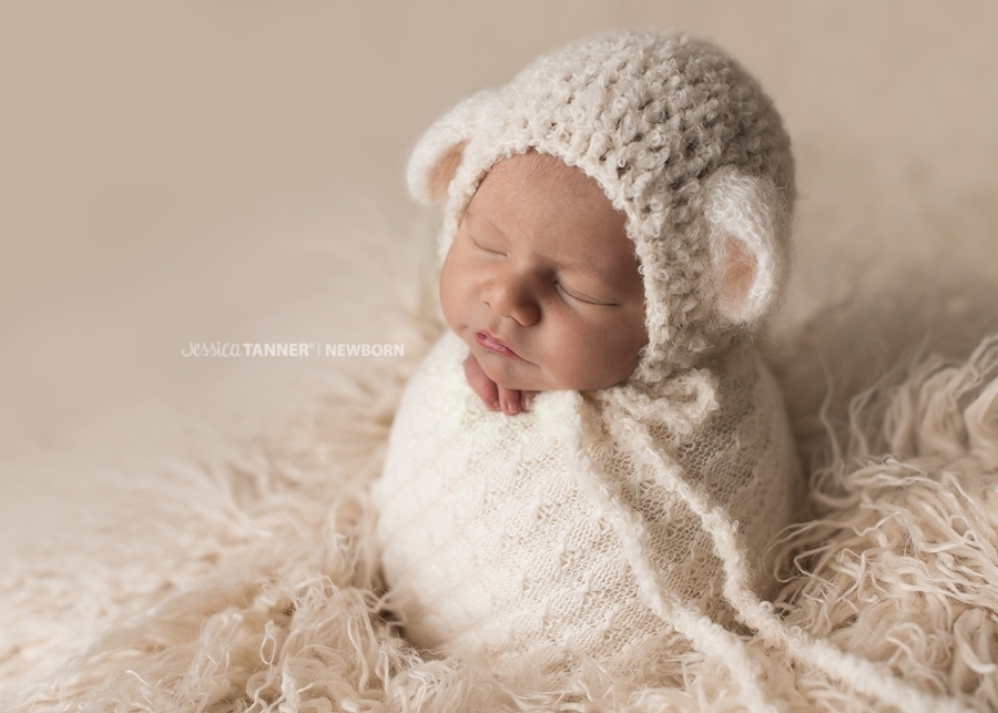 Jefferson Ga Fine Art Newborn Photographer Jessica Tanner Photography Atlanta GA (6)