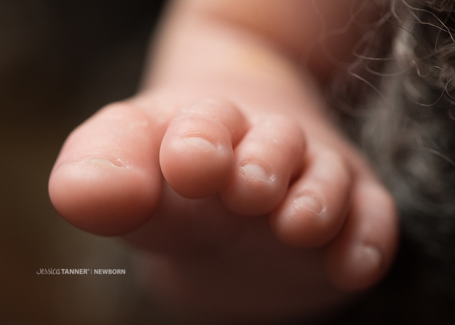 Alex – Newborn Session