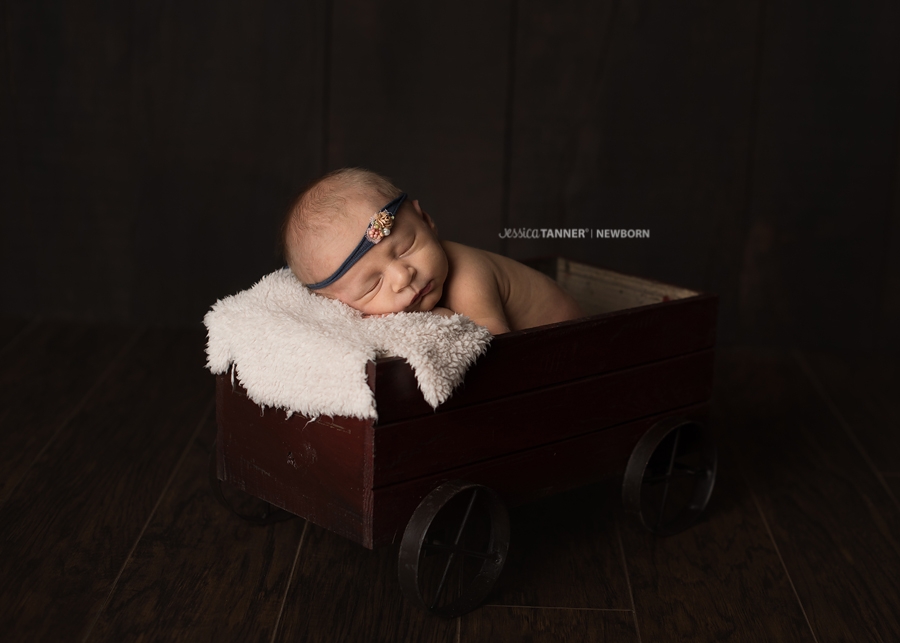 Gainesville Ga Fine Art Newborn Photographer Jessica Tanner Photography Atlanta GA (6)