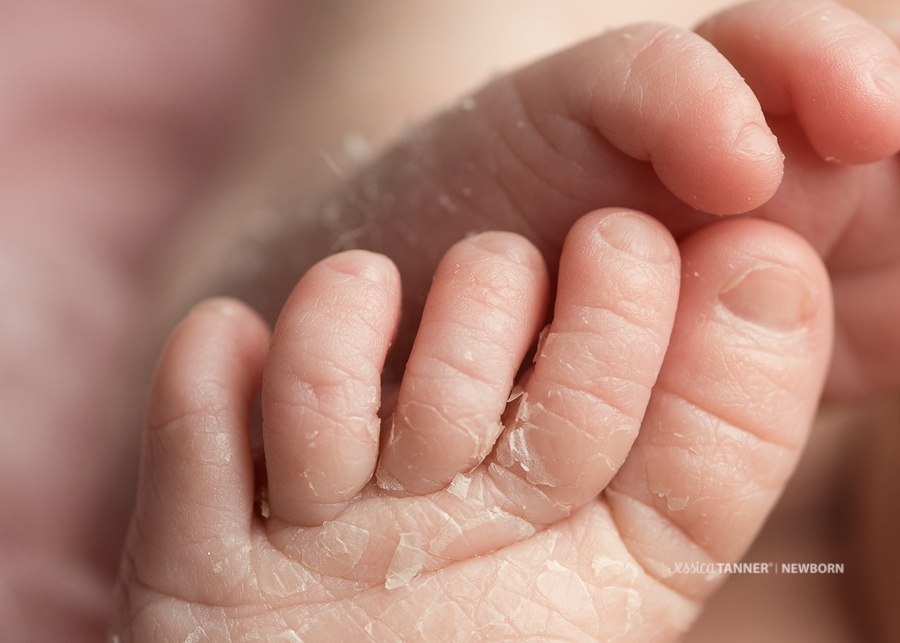 Atlanta GA Fine Art Newborn Photographer Jessica Tanner Photography (6)