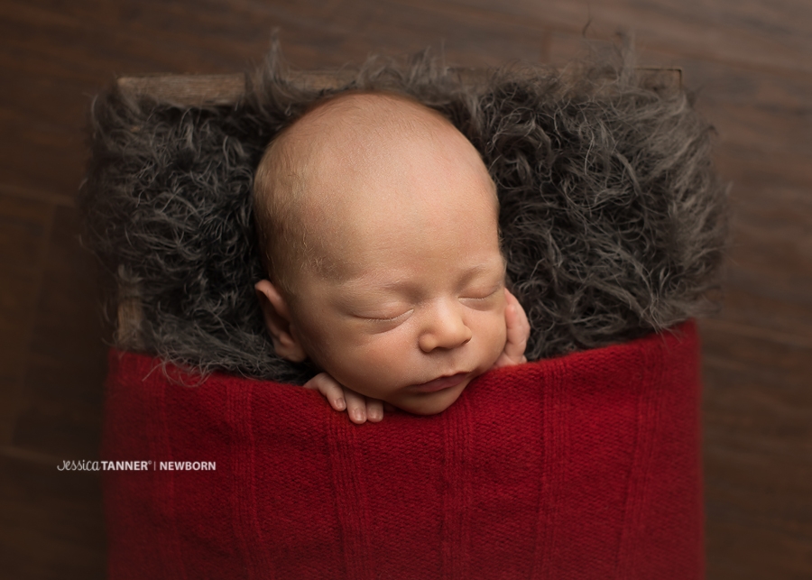 Atlanta Ga Fine Art Newborn Photographer Jessica Tanner Photography Atlanta GA (8)