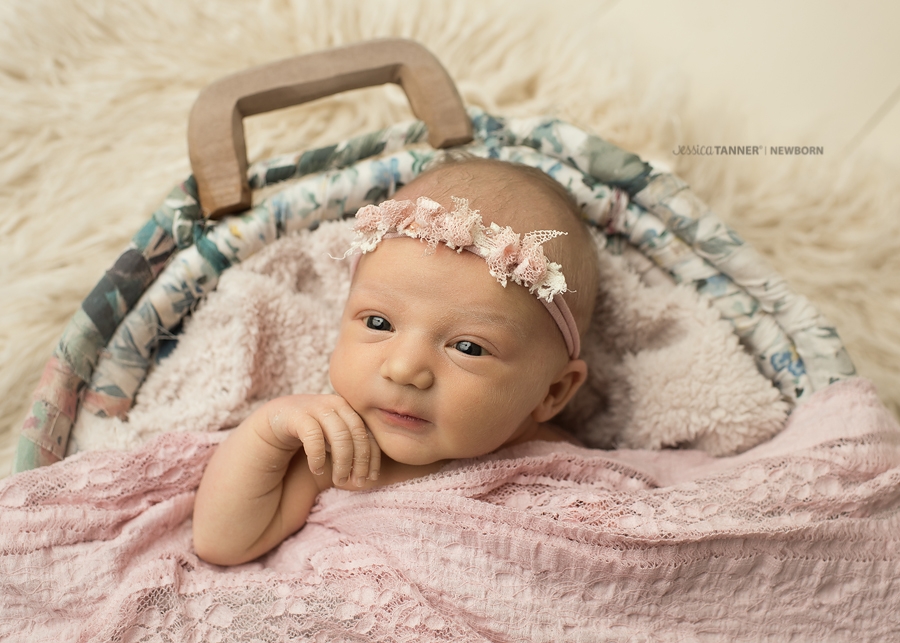 Madelyn ~ Newborn Portrait Session