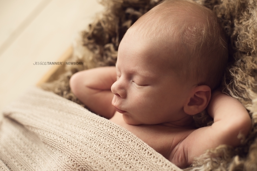 North Ga Newborn Photographer Jessica Tanner Photography 1181